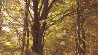 Open Church Sabbath Vespers