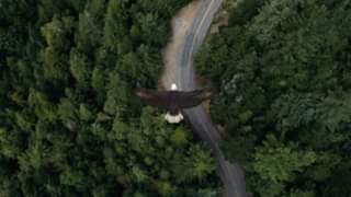 Open Church – Tim Goff