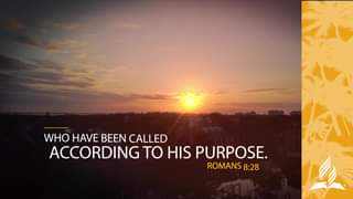 Ver #HappySabbath from Florida